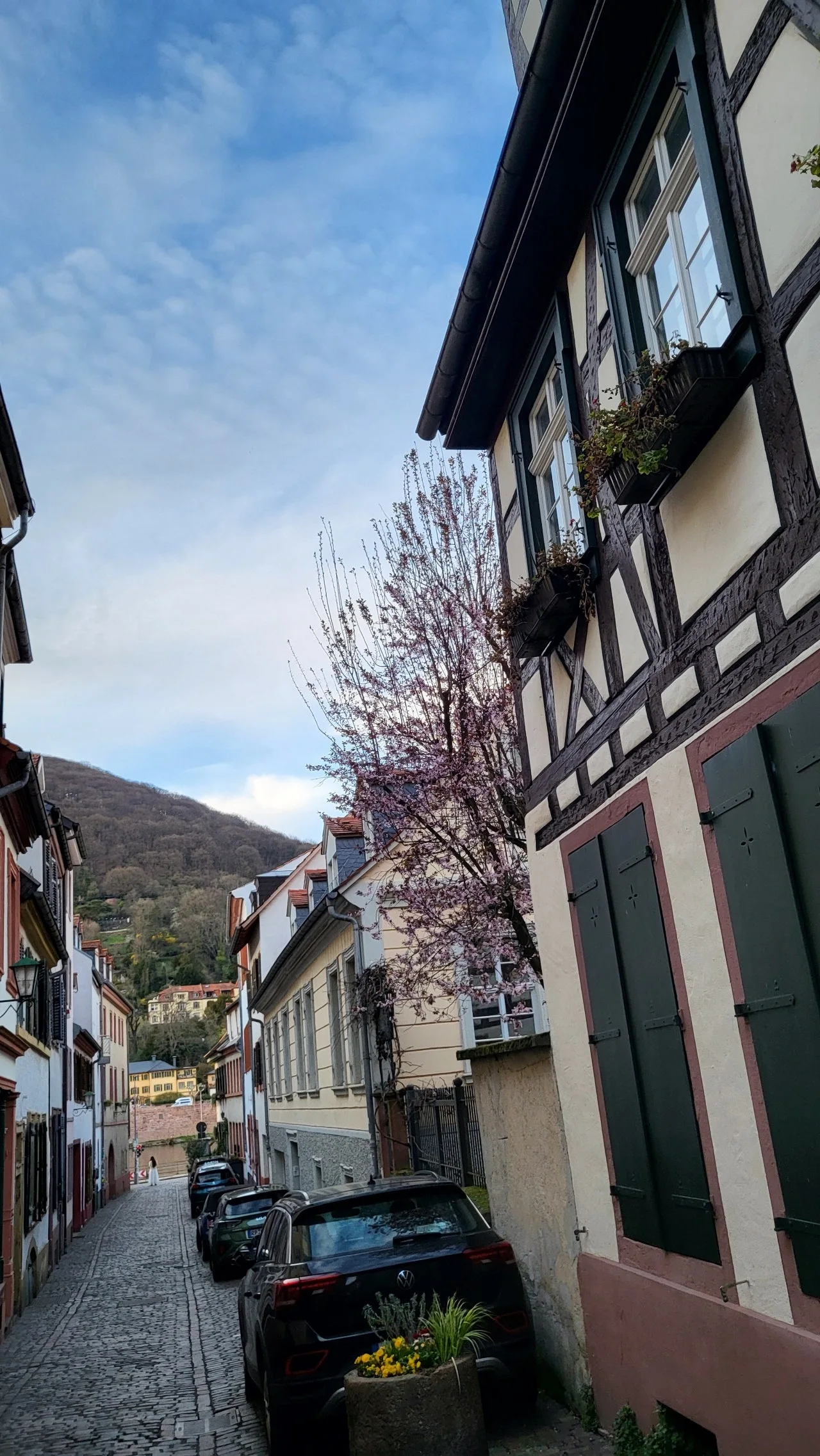 1280%EF%BC%BF20250323%EF%BC%BF175055.jpg?type=w1600