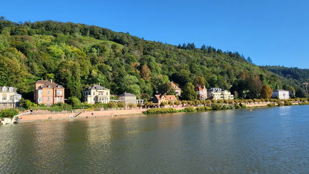 20240929%EF%BC%BF100326.jpg?type=w1600