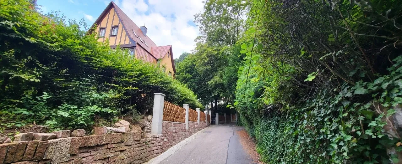 20240721%EF%BC%BF090214.jpg?type=w1600