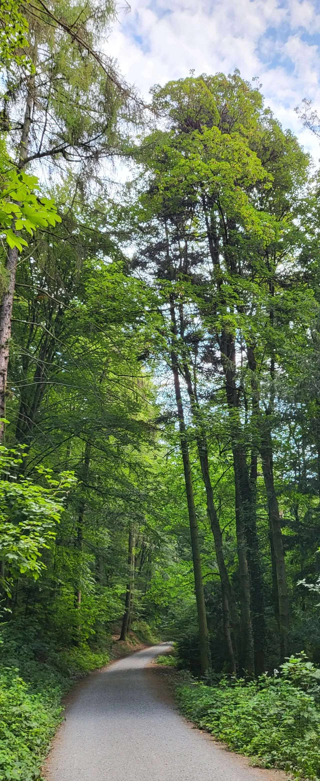 20240721%EF%BC%BF093544.jpg?type=w1600