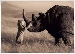 copyImage.jpg?type=w1600