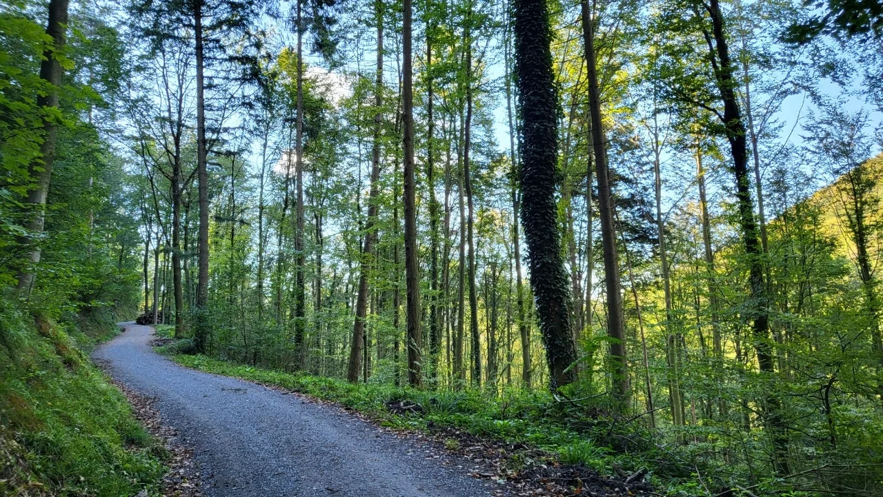 20240929%EF%BC%BF101739.jpg?type=w1600