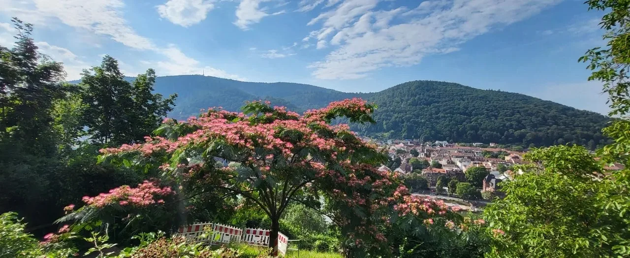 20240721%EF%BC%BF092348.jpg?type=w1600