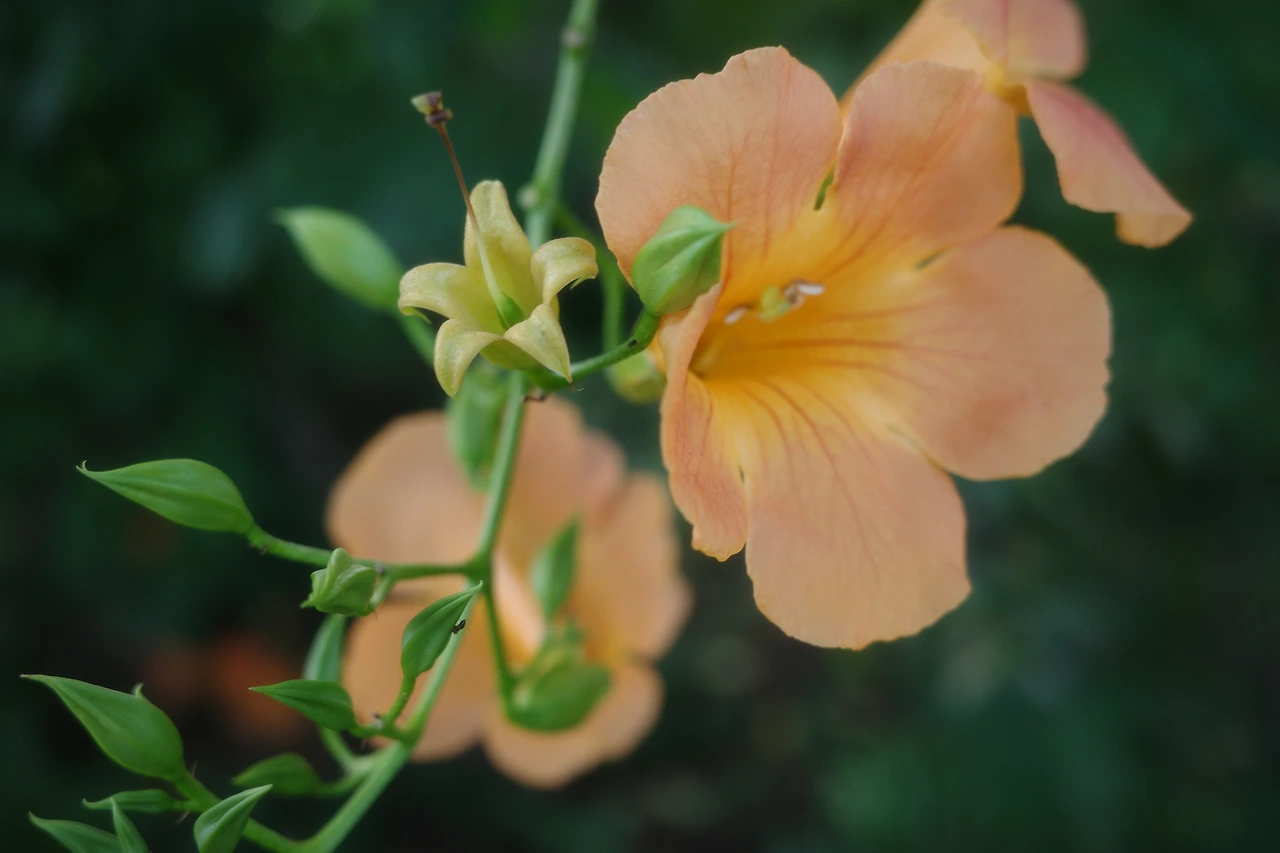 KakaoTalk_Photo_2025-07-28-19-54-20 013.jpeg