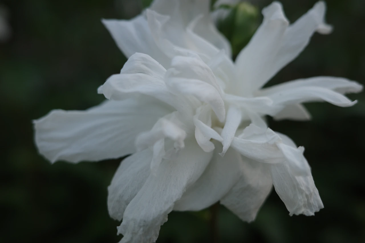 KakaoTalk_Photo_2025-07-28-19-54-20 014.jpeg