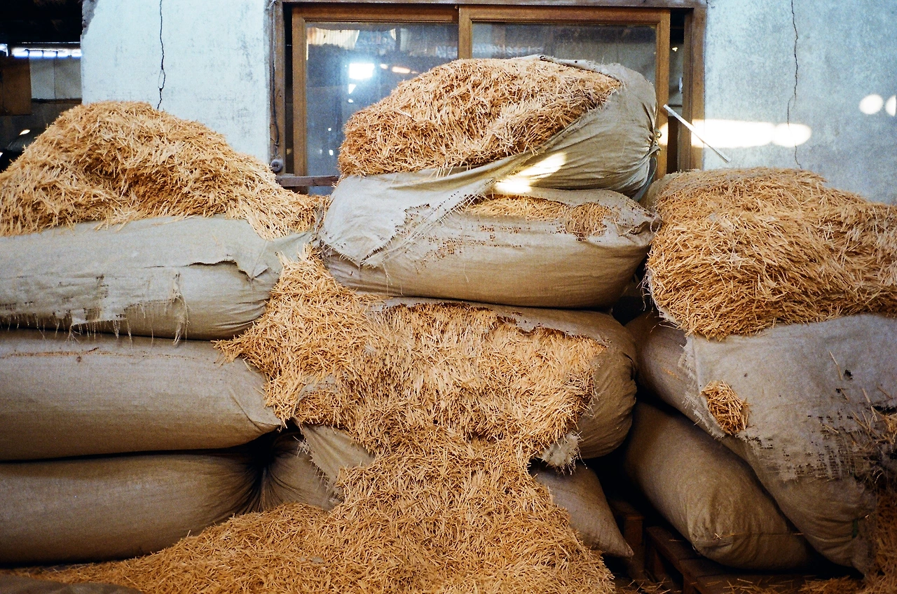 021 2022-03-14 (20) s.JPG