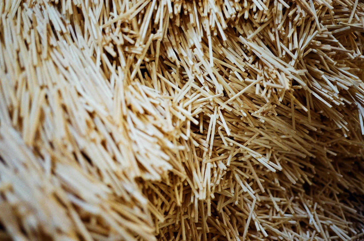 023 2022-03-14 (24) s.JPG