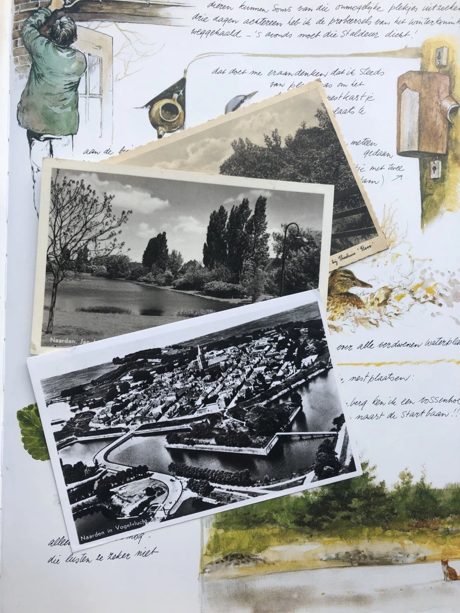 IMG_6592.jpg?type=w1