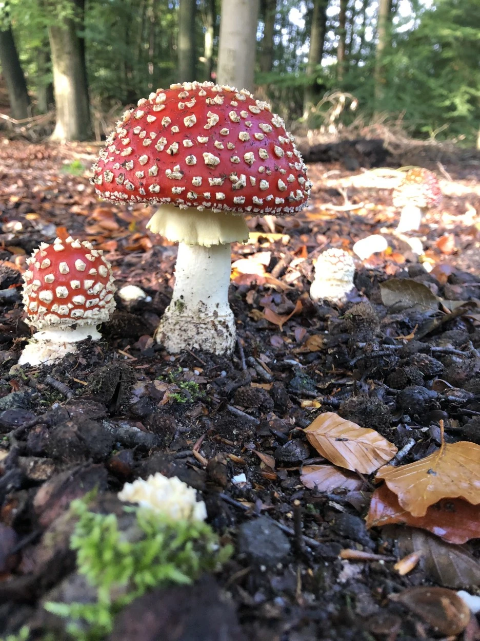 IMG_3300.JPG?type=w1