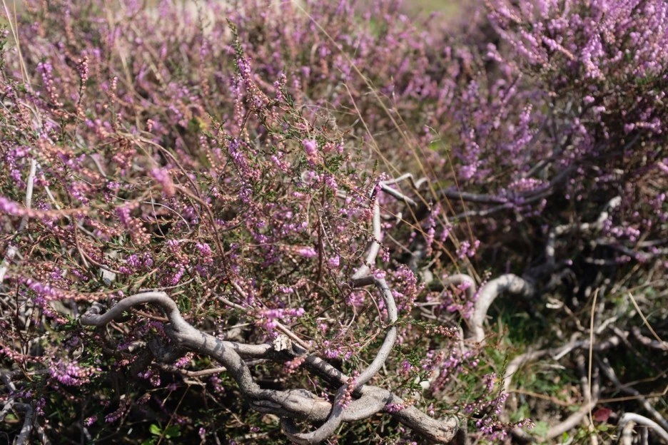 E15729B9-C3E4-4933-A00E-EFACEBF9ADC9-8356-00000404268C1648.JPG?type=w1