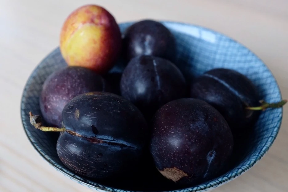 6C1C4633-D0A5-481C-BA5B-A903276D8781-8356-0000040895764B11.jpg?type=w1