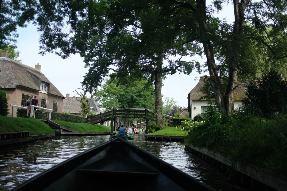 DSCF6824.JPG?type=w1