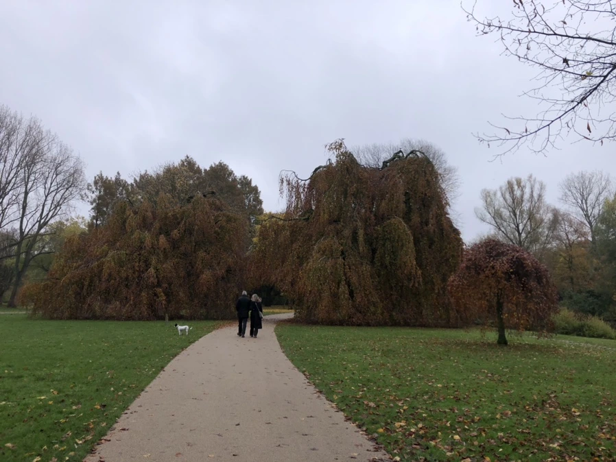 IMG_1165.jpg?type=w1