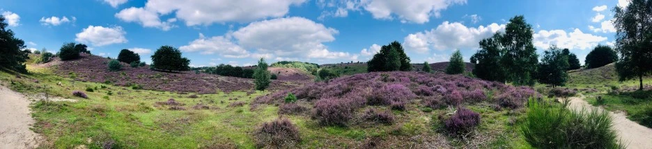 IMG_7002.JPG?type=w1