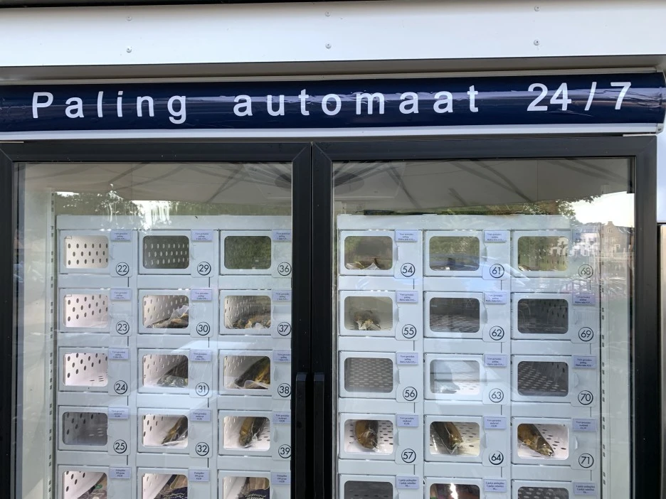 IMG_3825.jpg?type=w1