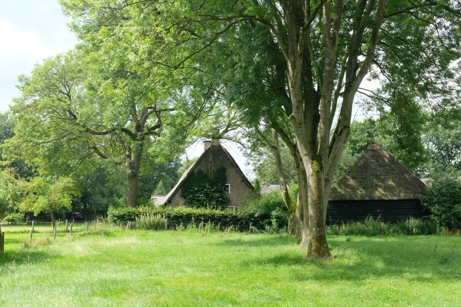 DSCF6736.JPG?type=w1