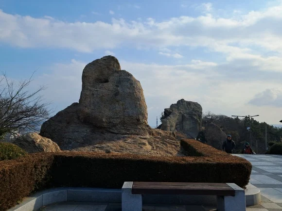 1000011576.jpg?type=w580