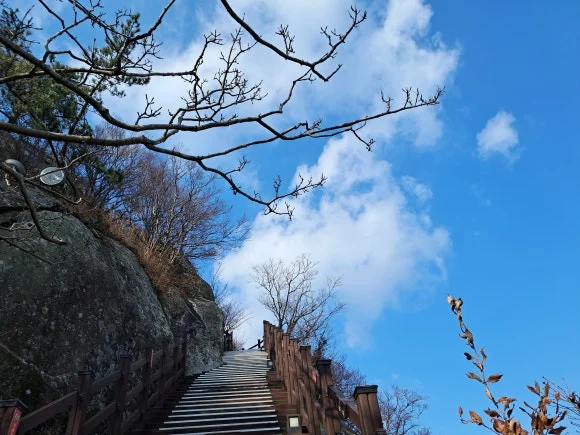 1000011590.jpg?type=w580