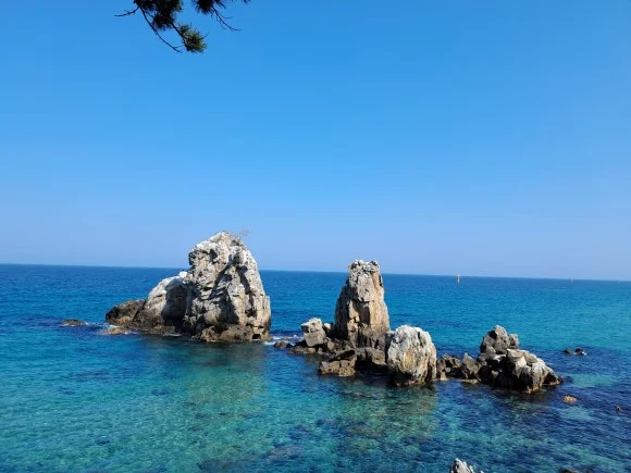 1000014550.jpg?type=w580