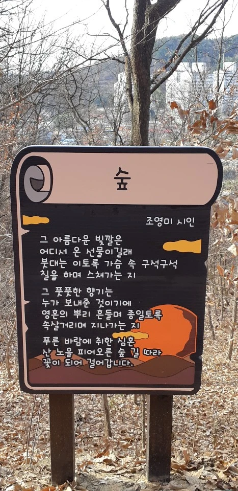 비봉산 숲 비.jpeg