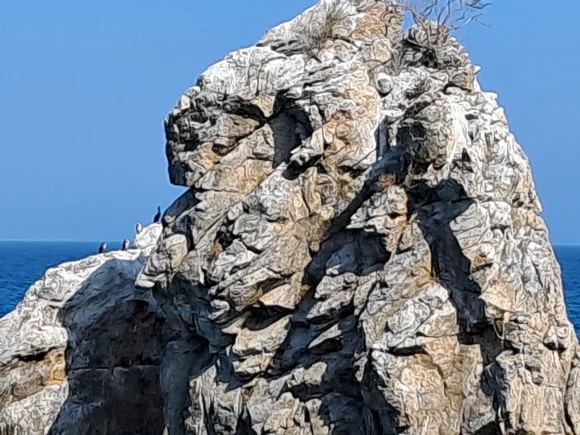 1000014553.jpg?type=w580