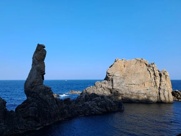 1000014569.jpg?type=w580