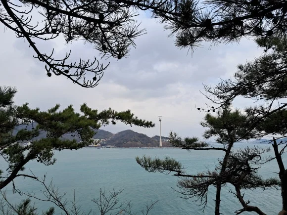 1000011696.jpg?type=w580