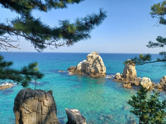 1000014587.jpg?type=w580