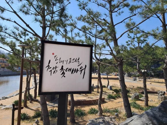 1000014558.jpg?type=w580