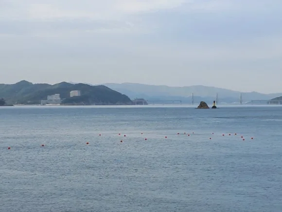 900%EF%BC%BF20250427%EF%BC%BF172135.jpg?type=w580