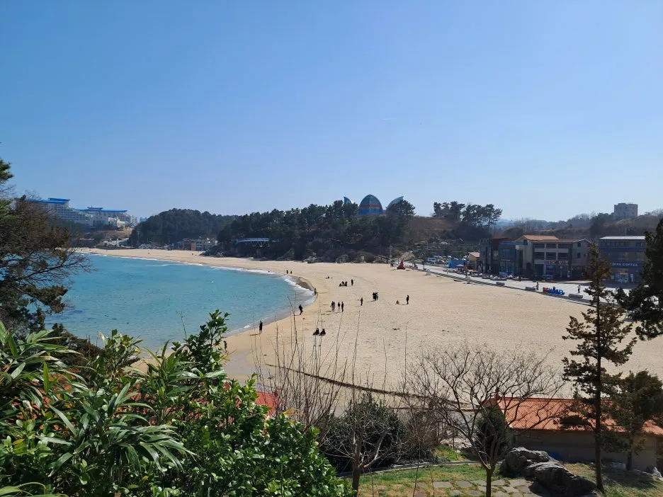 1000014556.jpg?type=w1