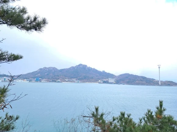 1000011713.jpg?type=w580