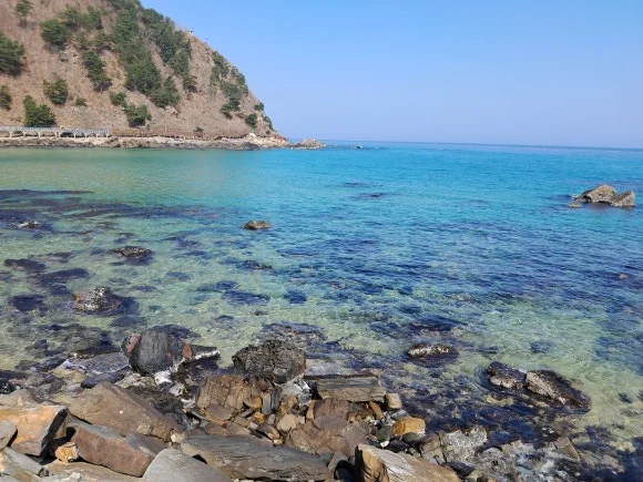 1000014482.jpg?type=w580