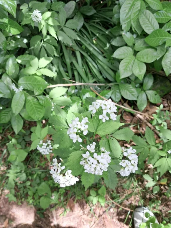 900%EF%BC%BF20250427%EF%BC%BF124551.jpg?type=w580