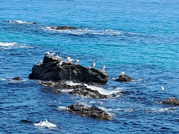 1000014492.jpg?type=w580