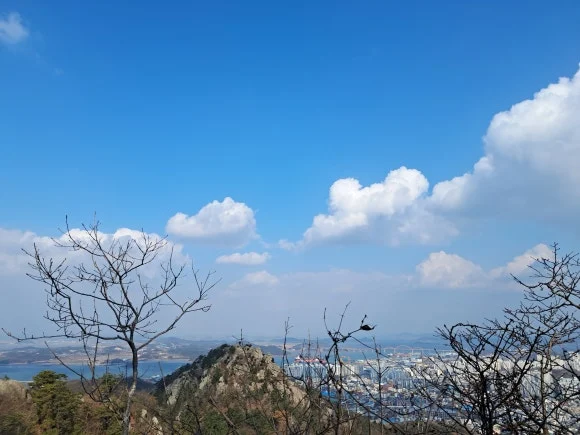 1000011594.jpg?type=w580