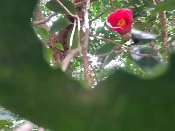 900%EF%BC%BF20250427%EF%BC%BF124127.jpg?type=w580