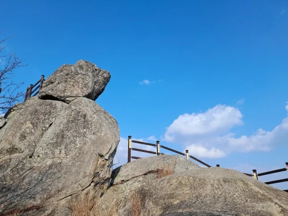 1000011595.jpg?type=w580