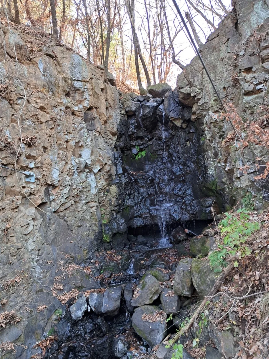 KakaoTalk_20241125_102532912.jpg?type=w1