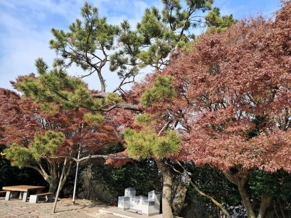 1000011656.jpg?type=w580