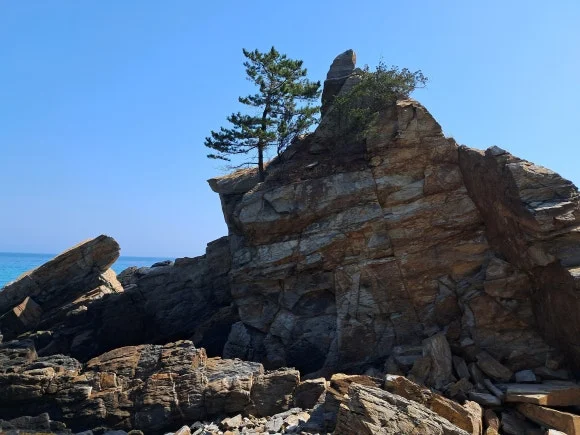 1000014503.jpg?type=w580