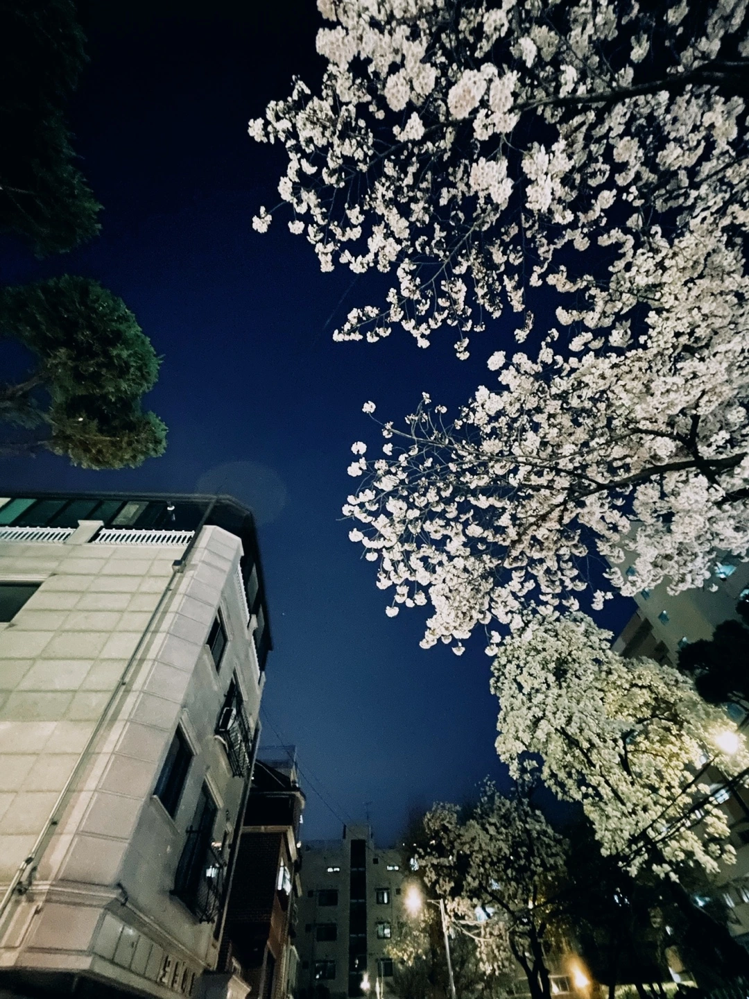 KakaoTalk_Photo_2022-04-29-23-39-22 002.jpeg