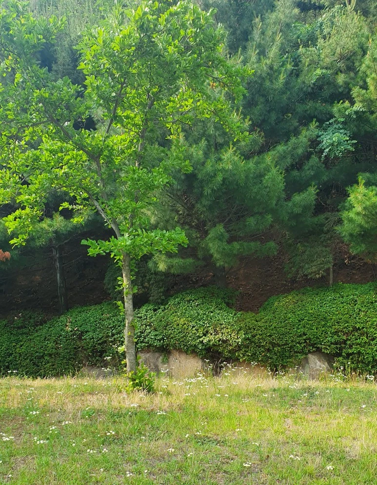 BE70B1E9-C904-4349-8BC6-0D9DC095CDE8.jpeg?type=w773