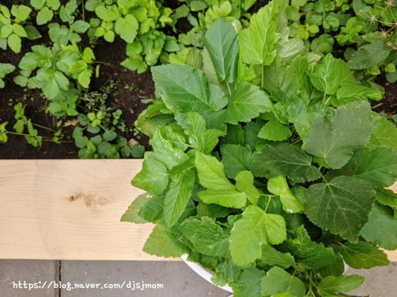 SE-0dfa42b9-0132-11ec-a986-1ddf54bfd5c9.jpg?type=w773