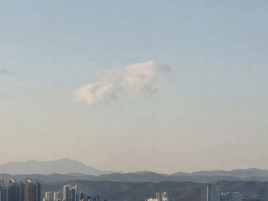 1768229311834.jpg?type=w1