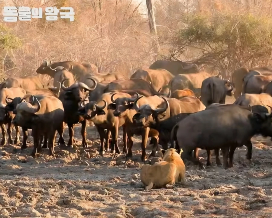 900%EF%BC%BFScreenshot%EF%BC%BF20251129%EF%BC%BF090340%EF%BC%BFYouTube.jpg?type=w1