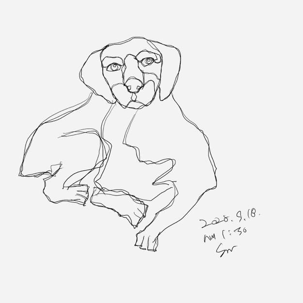 SE-20DA4AE8-D072-447E-A5D8-A8EE0E74C7A8.png?type=w1