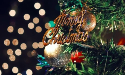 ?src=%22https%3A%2F%2Fimg1.daumcdn.net%2Fthumb%2FR1280x0.fjpg%2F%3Ffname%3Dhttp%3A%2F%2Ft1.daumcdn.net%2Fbrunch%2Fservice%2Fuser%2Fcv4B%2Fimage%2F7U9XidmUpn82BJgkhFUbuXF63E8%22&type=ff500_300