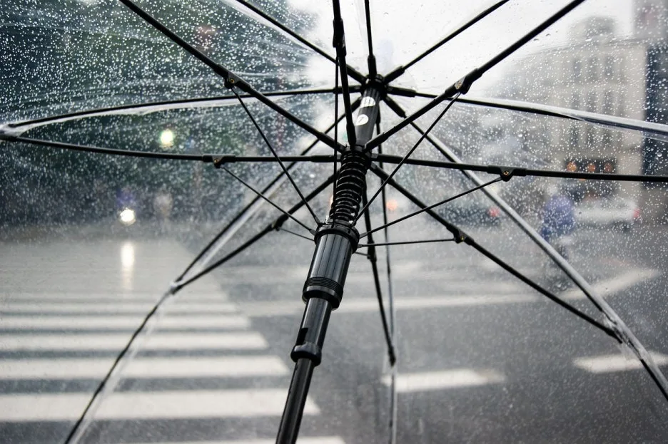 umbrella-4425160_1280.jpg?type=w1
