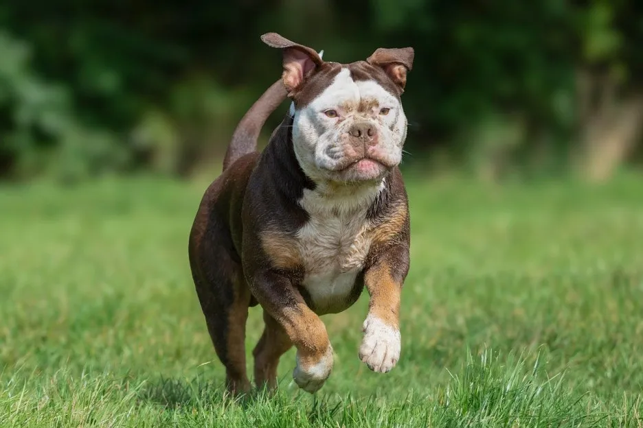 animal-9417081_1280.jpg?type=w1